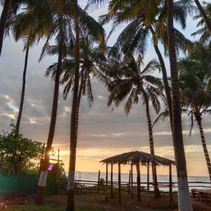 Kashid Beach Camping + New Year Celebration